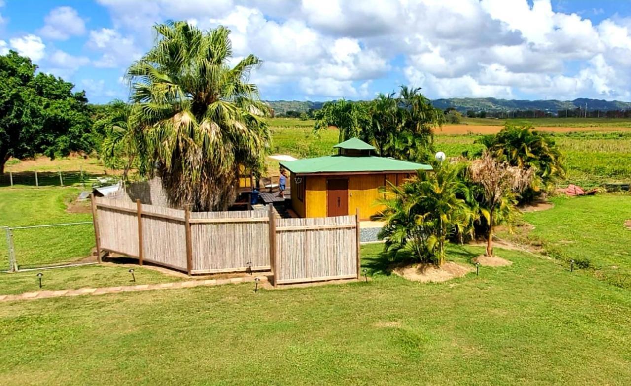 Ariami Rose Hotel Aguada Kültér fotó